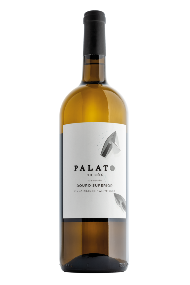 Palato do Coa Branco 2020