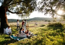 Programas para desfrutar da Páscoa à "grande e à portuguesa"