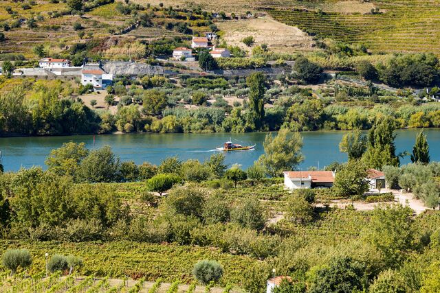 Vale do Douro