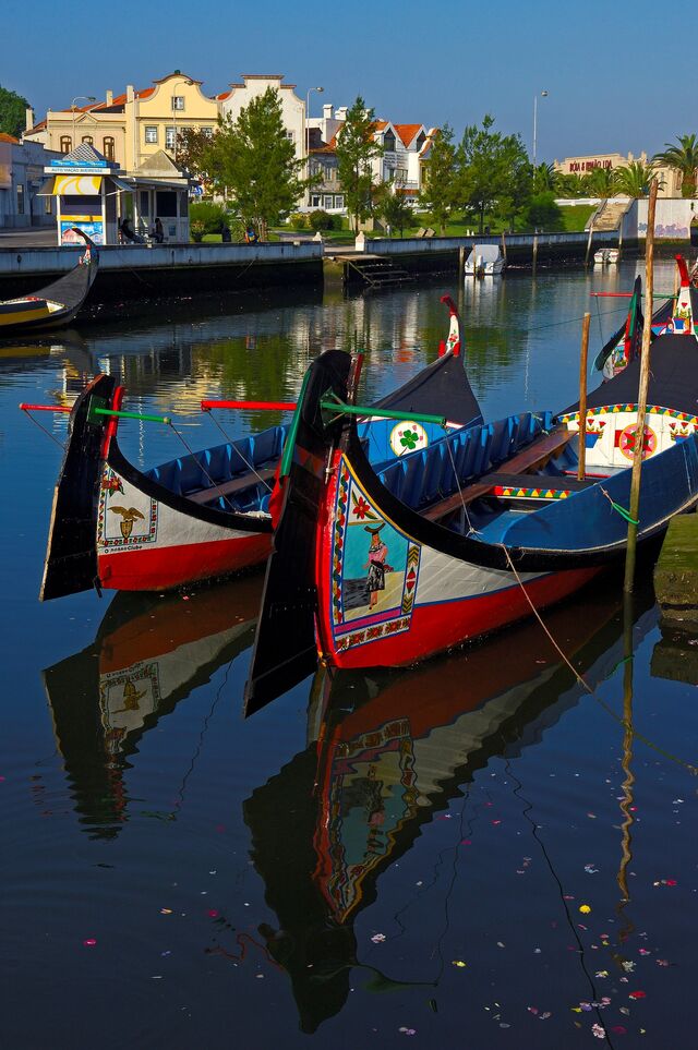 Moliceiros, tradicionais barcos de Aveiro