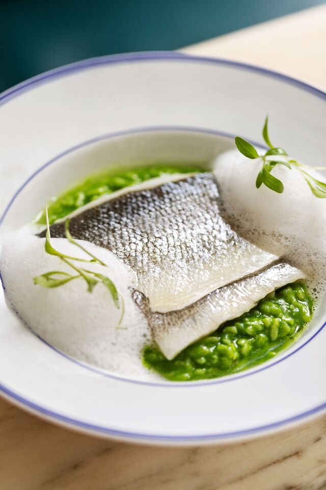 Robalo com arroz de amêijoas à bulhão pato