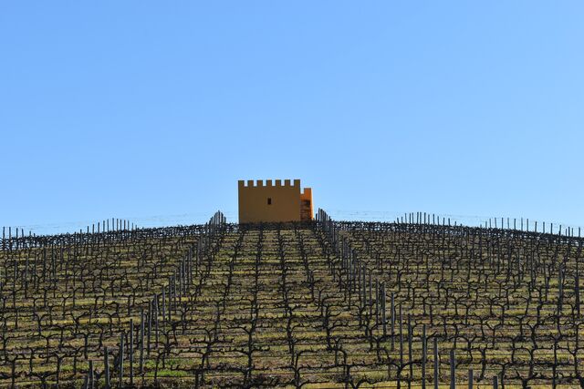 Quinta São Sebastião