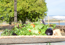 "Do solo para a alma", um festival de comida saudável para provar no Alandroal