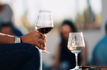 Um dia de enoturismo (e não só) no Alentejo