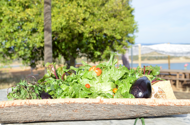 'Do solo para a alma', um festival de comida saudável para provar no Alandroal