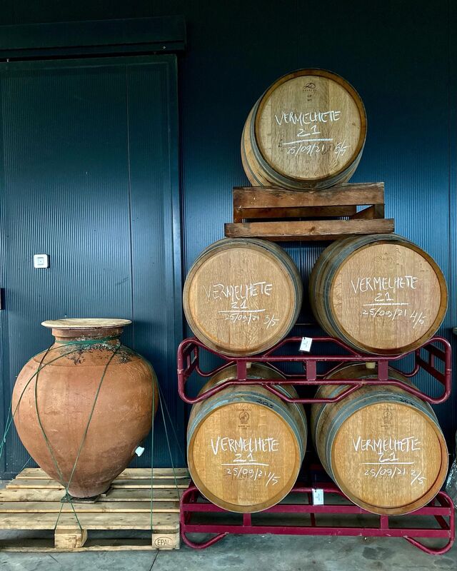 Barricas e talha para estágio dos vinhos