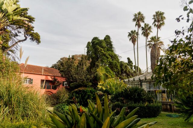 O evento vai decorrer no Jardim Botânico Tropical