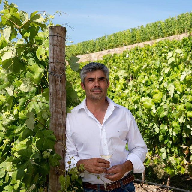Francisco Gonçalves