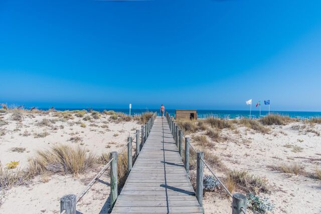 Barril, Tavira