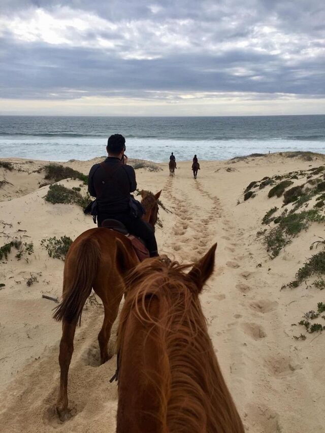 Brejos da Carregueira, Grândola