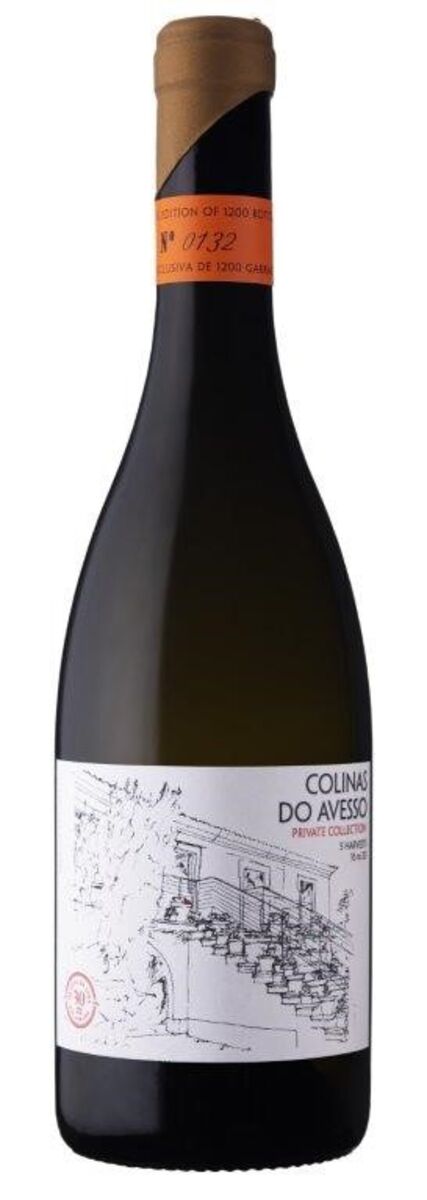 Colinas do Avesso 2016 – MV 16 a 20