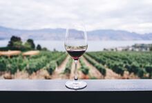 Vinhos para brindar ao outono dos €6 aos €900