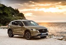 Gasolina ou gasóleo? Eis a questão