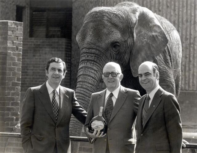 Lançamento do Mateus Magnum no Zoo de Londres, 1978
