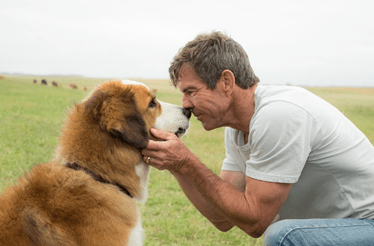 Dar festas a cães é benéfico para a saúde, afirma novo estudo