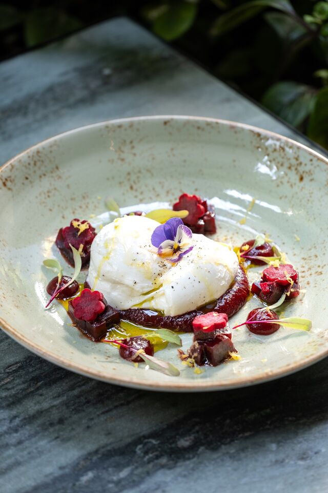 Burrata e Texturas de Beterraba