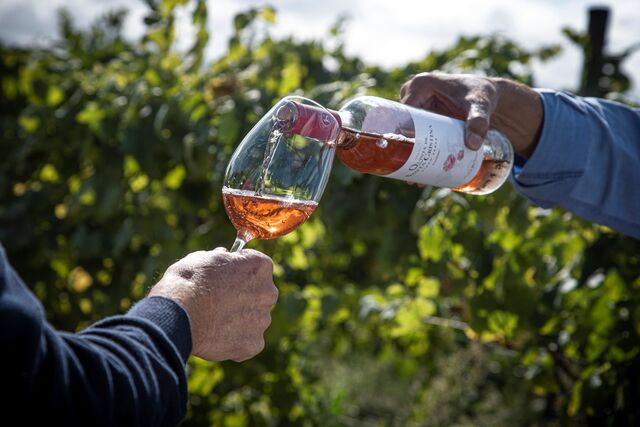 Quinta de Santa Catarina