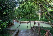 Terra Nostra Garden Hotel distinguido como "Best Countryside Hotel" 