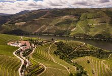 Dois tintos raros, da Quinta Nova, prestam o melhor tributo ao Douro
