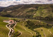 Dois tintos raros, da Quinta Nova, prestam o melhor tributo ao Douro