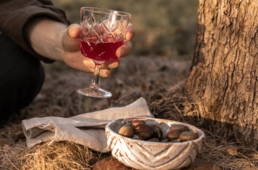 Vinhos para comemorar o fim de semana de São Martinho