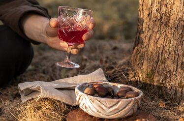 Vinhos para comemorar o fim de semana de São Martinho