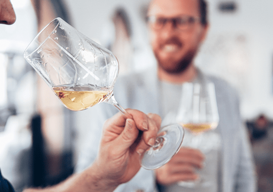 Vinhos para experimentar sem medos (incluindo um com 16,5% de álcool)