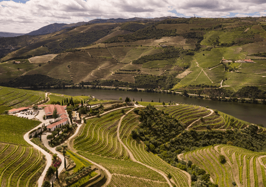 Dois tintos raros, da Quinta Nova, prestam o melhor tributo ao Douro