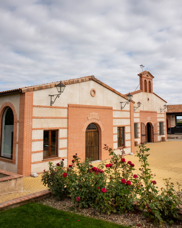 Trata-se de um vinho feito a partir de uma única parcela de 4,8 hectares de vinhas velhas.