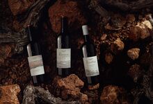 Natal à vista. Vinhos especiais, para ocasiões especiais