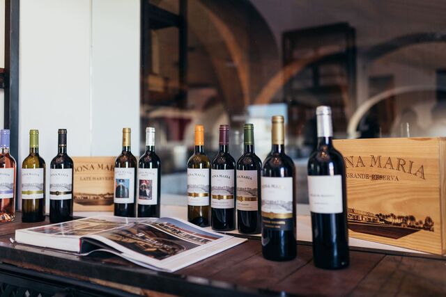 Alguns dos vinhos Dona Maria.