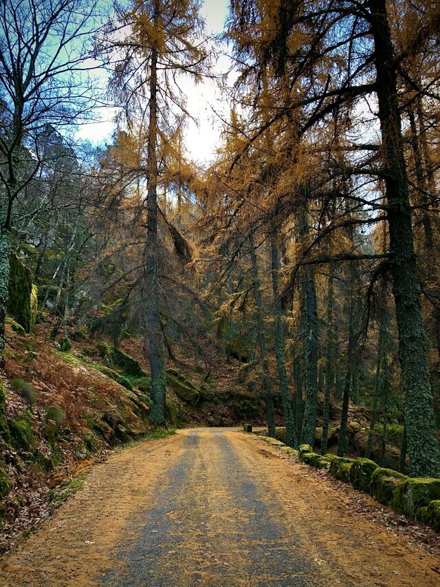 Serra da Estrela