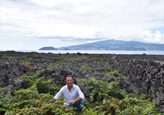 Espumante dos Açores: um vinho com muito Pico