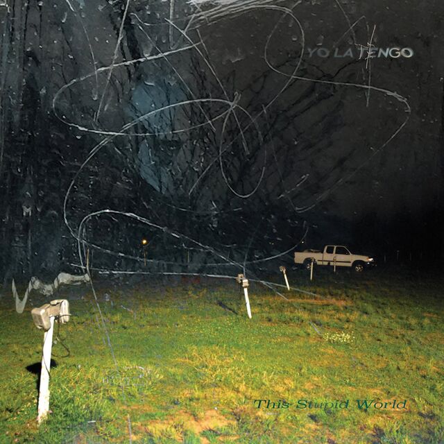 Yo La Tengo: This Stupid World.