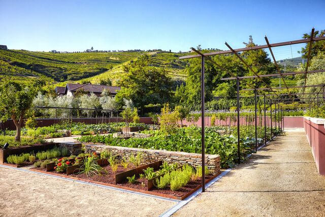 Organic Garden.