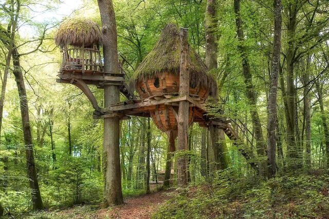 Uma casa na árvore em França.