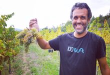 Depois deste vinho, o verde nunca mais foi Igual
