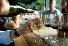 Vinhos para degustar em grandes companhias