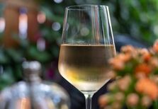 Vinhos para dar as boas-vindas à primavera