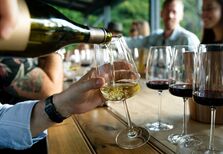 Vinhos para degustar em grandes companhias