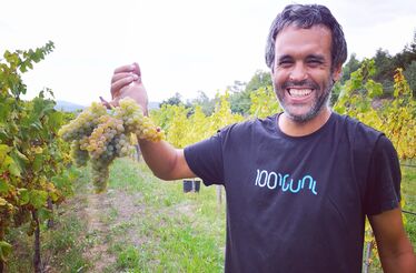 Depois deste vinho, o verde nunca mais foi Igual