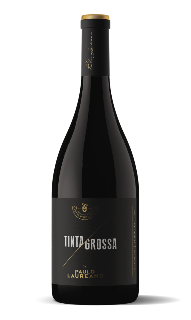 Paulo Laureano Tinta Grossa 2017.