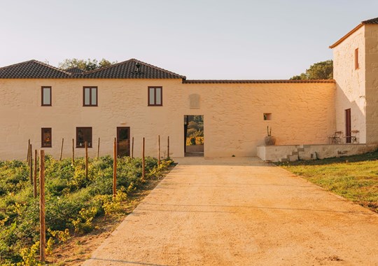 Taboadella. A quinta, a casa, a adega e o vinho