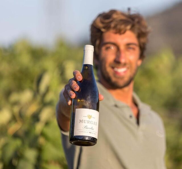 Os lançamentos deste ano, Murgas DOC Bucelas Branco 2018 (euros 14,80) e Murgas Tinto Vinha do Arneiro 2019 (euros 14,50) podem ser adquiridos em shop online ou em garrafeiras selecionadas.