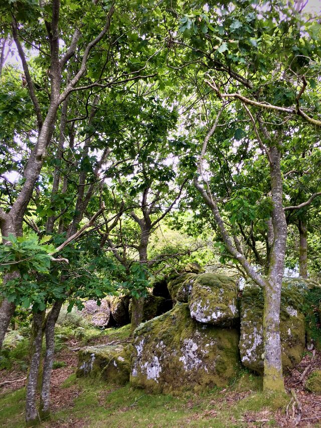 Trilho do Sistema Solar (Vascões, Paredes de Coura).
