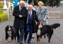 Isto Lembra-me Uma História: Os cães do presidente da Irlanda