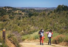 Roteiro e festival. Pelos trilhos do Algarve serrenho