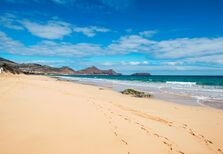 Um festival gastronómico em Porto Santo