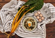 Terramay, comida para alimentar a alma