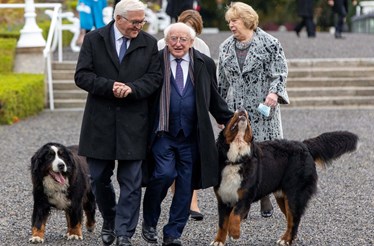 Isto Lembra-me Uma História: Os cães do presidente da Irlanda